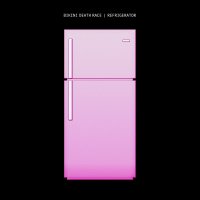 Bikini Death Race - Refrigerator vinyl cover