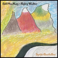Bill Mackay And Ryley Walker - Spiderbeetlebee vinyl cover