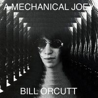Bill Orcutt - A Mechanical Joey vinyl cover