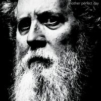 Bill Orcutt - Another Perfect Day vinyl cover