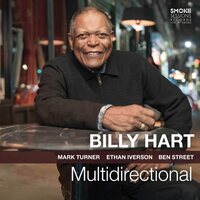 Billy Hart - Multidirectional vinyl cover