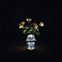 Billy Strings - Renewal vinyl cover