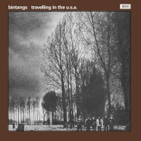 Bintangs - Travelling In The Usa vinyl cover