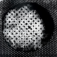 Biosphere - Patashnik vinyl cover