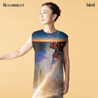 Bird - Reconnect vinyl cover