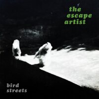 Bird Streets - The Escape Artist (Silver) vinyl cover