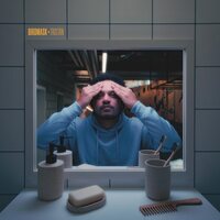Birdmask - Tristan vinyl cover