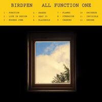 Birdpen - All Function One vinyl cover