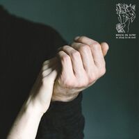 Birds In Row - We Already Lost The World vinyl cover