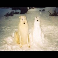 Birth Day - Boyhood (Ultra Clear With Yellow Splatter) vinyl cover