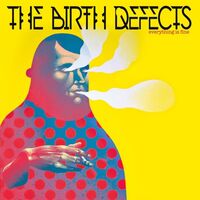 Birth Defects - Everything Is Fine vinyl cover