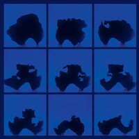 Birth (Defects) - Fictional Days vinyl cover