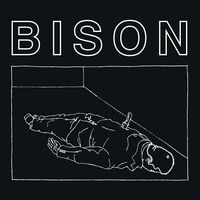 Bison - One Thousand Needles vinyl cover