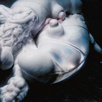 Björk - Arisen My Senses vinyl cover