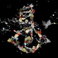 Björk - Biophilia vinyl cover