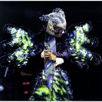 Björk - Vulnicura Live vinyl cover