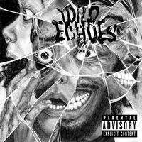 Black Creatures - Wild Echoes vinyl cover