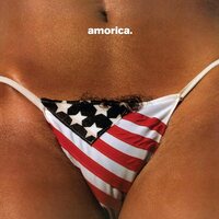 Black Crowes - Amorica. vinyl cover