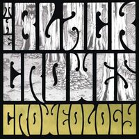Black Crowes - Croweology: 10Th Anniversary vinyl cover