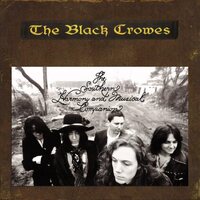 Black Crowes - The Southern Harmony And Musical Companion (Super Deluxe) vinyl cover