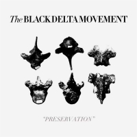 Black Delta Movement - Preservation vinyl cover