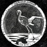 Black Flamingo - AN-Nur vinyl cover