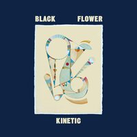 Black Flower - Kinetic vinyl cover