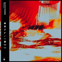 Black Foxxes - Black Foxxes (Orange vinyl) vinyl cover