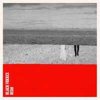 Black Foxxes - Reidi vinyl cover