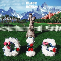 Black Honey - Dig vinyl cover