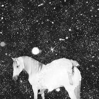 Black Lips - Apocalypse Love (Violet) vinyl cover