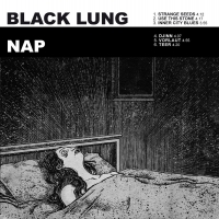 Black Lung / Nap - Split Dl Card vinyl cover