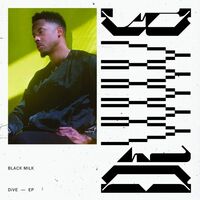 Black Milk - Dive vinyl cover
