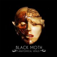 Black Moth - Anatomical Venus vinyl cover