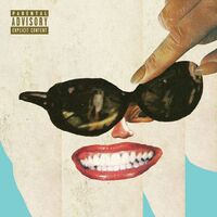 Black Moth Super Rainbow - Panic Blooms vinyl cover