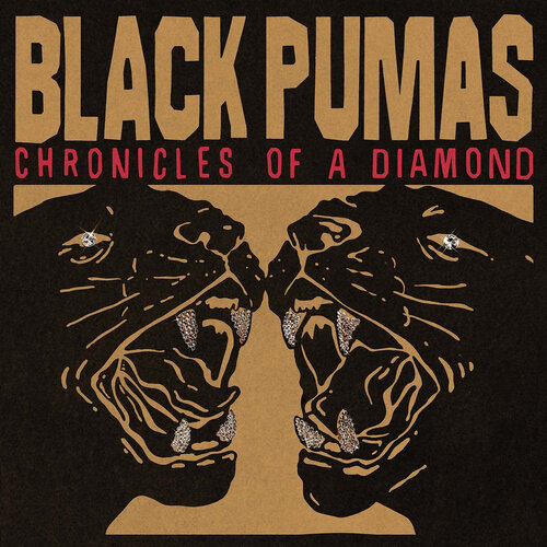 Black Pumas - Chronicles Of A Diamond (Amazon Exclusive) vinyl cover