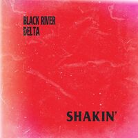 Black River Delta - Shakin' vinyl cover