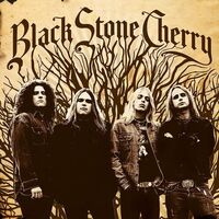 Black Stone Cherry - Black Stone Cherry vinyl cover