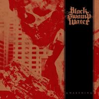 Black Swamp Water - Awakening vinyl cover