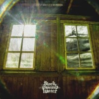Black Swamp Water - Distant Thunder vinyl cover
