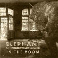 Blackballed - Elephant In The Room vinyl cover