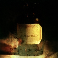 Blackfield - Blackfield vinyl cover