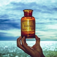 Blackfield - V vinyl cover
