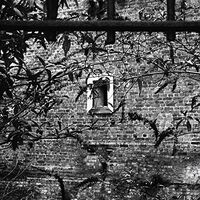 Blackhall & Bookless - Forward vinyl cover