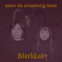 Blacklab - Under The Strawberry Moon vinyl cover