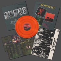 Blacklyst - Liars, Killers & Master Thieves vinyl cover