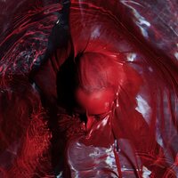 Blackwater Holylight - Not Here Not Gone (Red) vinyl cover