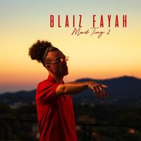 Blaiz Fayah - Mad Ting 2 vinyl cover