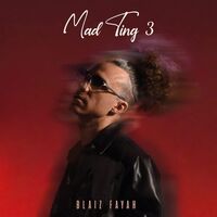 Blaiz Fayah - Mad Ting 3 vinyl cover