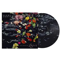 Blaqk Audio - Only Things We Love Water Picture vinyl cover